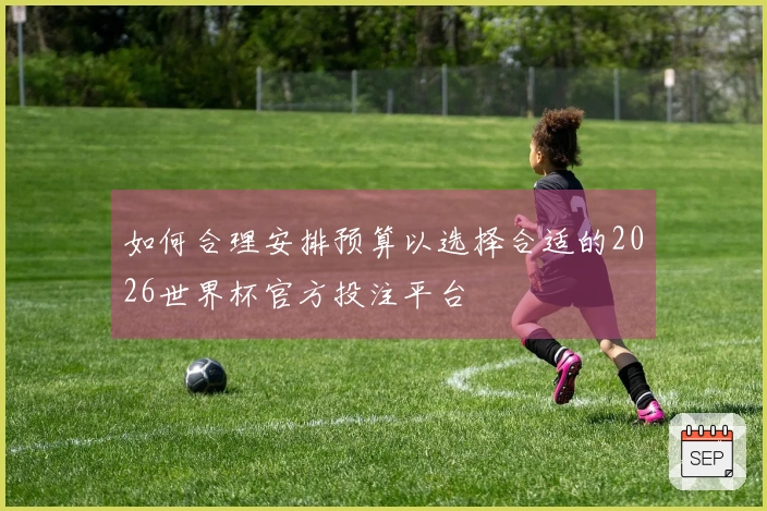 如何合理安排预算以选择合适的2026世界杯官方投注平台