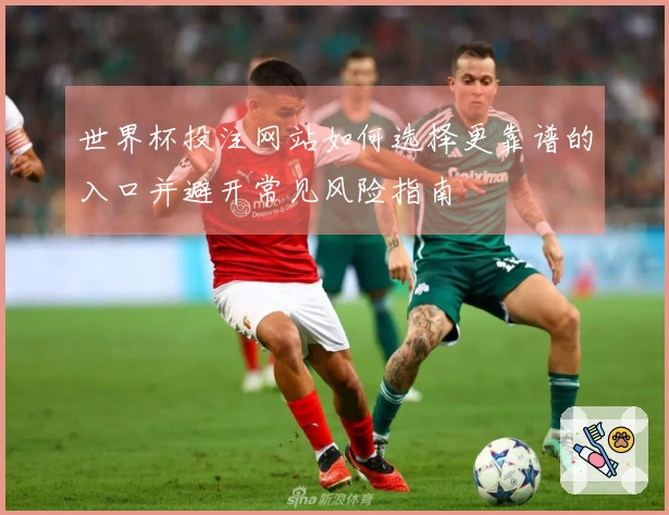 世界杯投注网站如何选择更靠谱的入口并避开常见风险指南