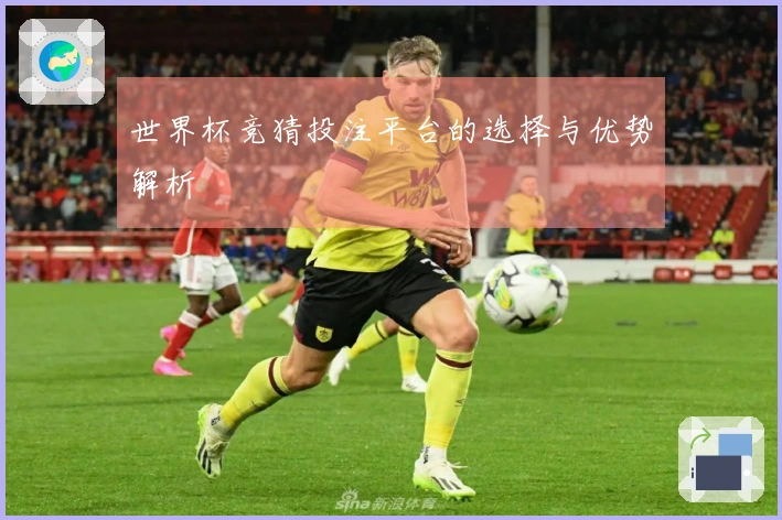 世界杯竞猜投注平台的选择与优势解析
