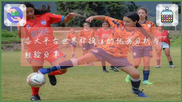 各大平台世界杯投注的优劣分析与经验分享