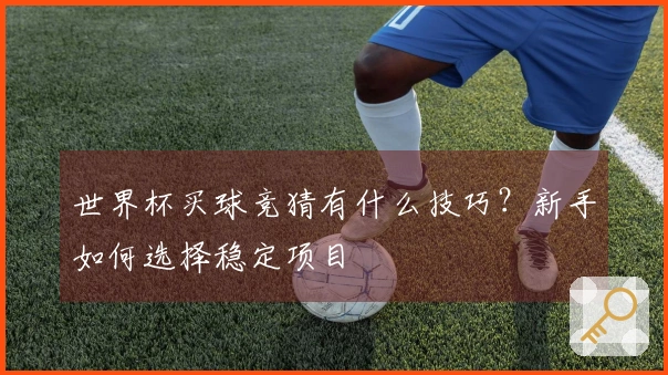 世界杯买球竞猜有什么技巧？新手如何选择稳定项目