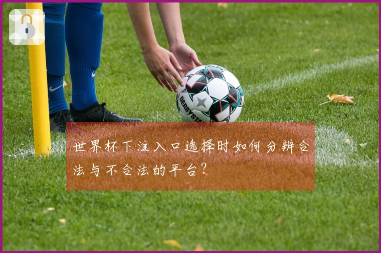 世界杯下注入口选择时如何分辨合法与不合法的平台？