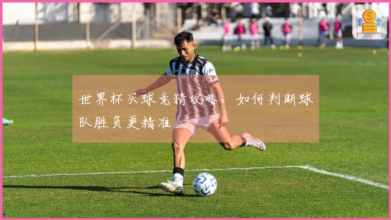世界杯买球竞猜攻略,如何判断球队胜负更精准
