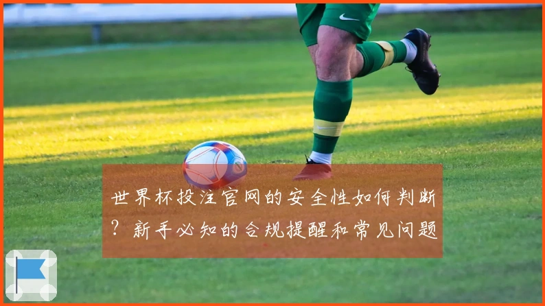 世界杯投注官网的安全性如何判断？新手必知的合规提醒和常见问题解析