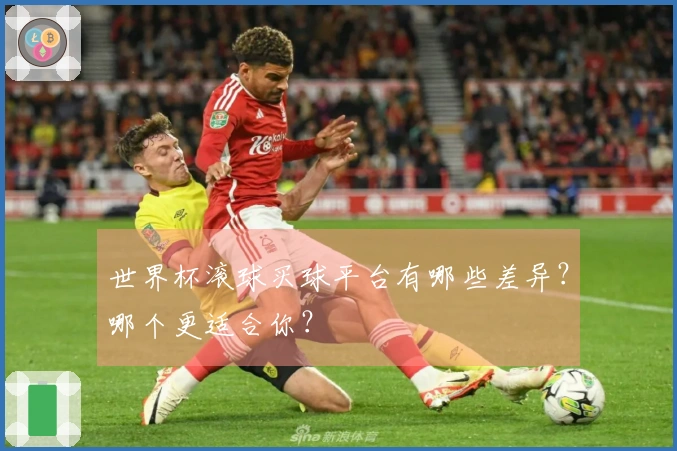 世界杯滚球买球平台有哪些差异？哪个更适合你？