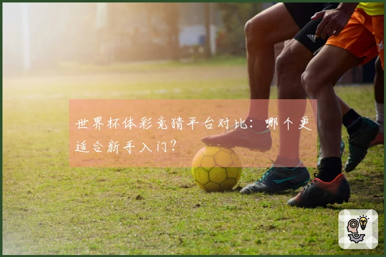 世界杯体彩竞猜平台对比：哪个更适合新手入门？