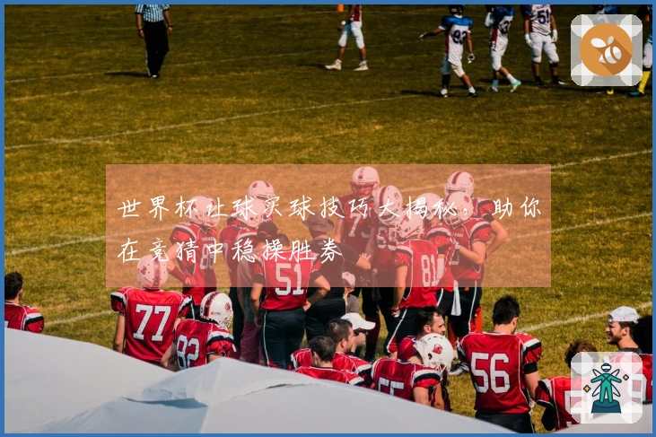 世界杯让球买球技巧大揭秘,助你在竞猜中稳操胜券