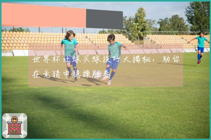 世界杯让球买球技巧大揭秘，助你在竞猜中稳操胜券