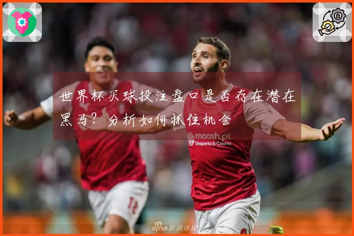 世界杯买球投注盘口是否存在潜在黑马？分析如何抓住机会