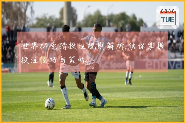 世界杯竞猜投注规则解析 助你掌握投注技巧与策略