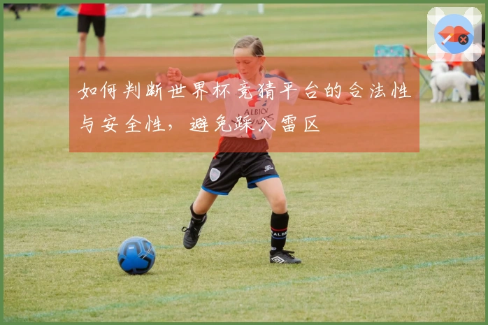 如何判断世界杯竞猜平台的合法性与安全性，避免踩入雷区