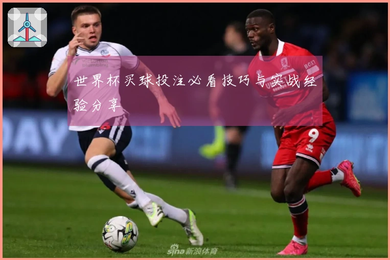 世界杯买球投注必看技巧与实战经验分享