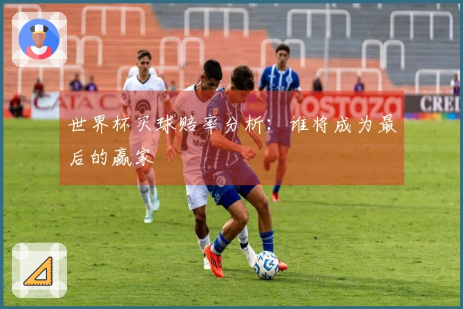 世界杯买球赔率分析：谁将成为最后的赢家