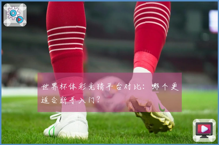 世界杯体彩竞猜平台对比：哪个更适合新手入门？