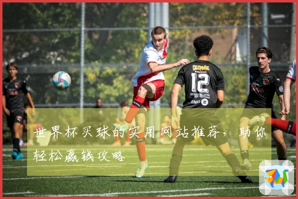 世界杯买球的实用网站推荐，助你轻松赢钱攻略