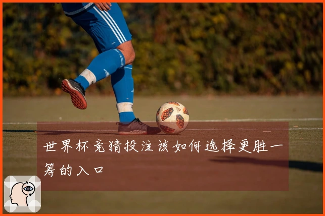 世界杯竞猜投注该如何选择更胜一筹的入口