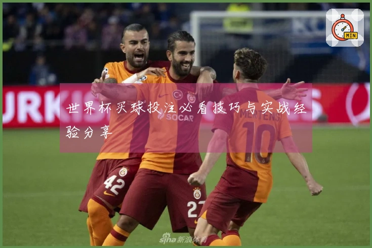世界杯买球投注必看技巧与实战经验分享