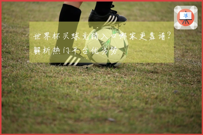 世界杯买球竞猜入口哪家更靠谱？解析热门平台优劣势