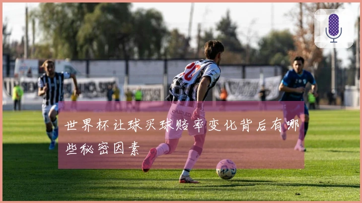 世界杯让球买球赔率变化背后有哪些秘密因素