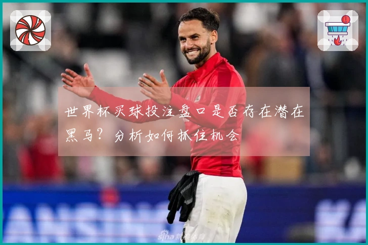 世界杯买球投注盘口是否存在潜在黑马？分析如何抓住机会