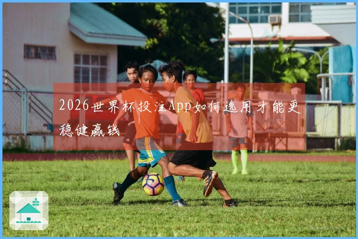 2026世界杯投注App如何选用才能更稳健赢钱