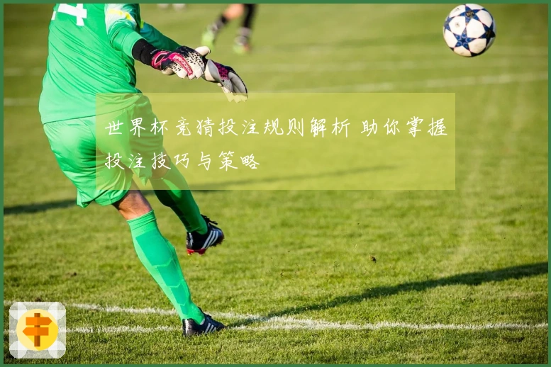 世界杯竞猜投注规则解析 助你掌握投注技巧与策略