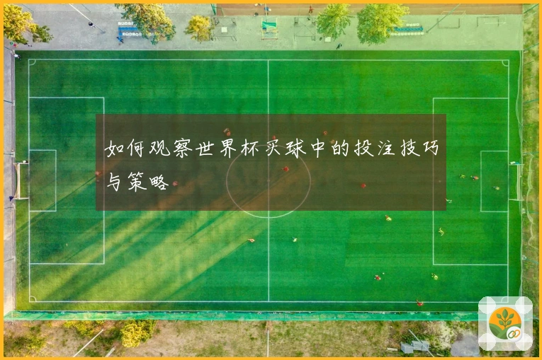 如何观察世界杯买球中的投注技巧与策略