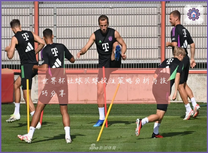 世界杯让球买球投注策略分析与技巧分享
