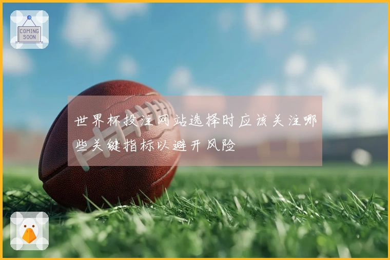 世界杯投注网站选择时应该关注哪些关键指标以避开风险