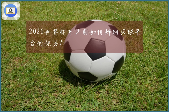 2026世界杯开户前如何辨别买球平台的优劣？