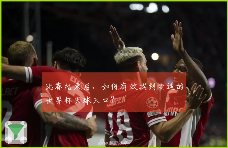 比赛结束后，如何有效找到合适的世界杯买球入口？