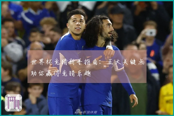 世界杯竞猜新手指南：五大关键点助你赢得竞猜乐趣