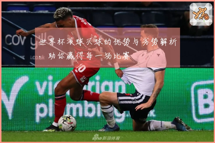 世界杯滚球买球的优势与劣势解析，助你赢得每一场比赛