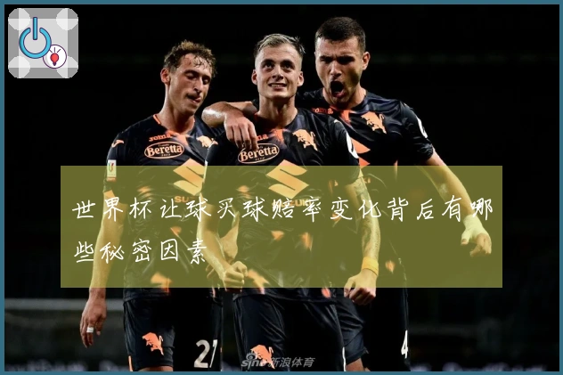 世界杯让球买球赔率变化背后有哪些秘密因素