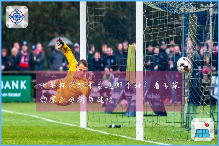 世界杯买球平台选哪个好？看专家的深入分析与建议