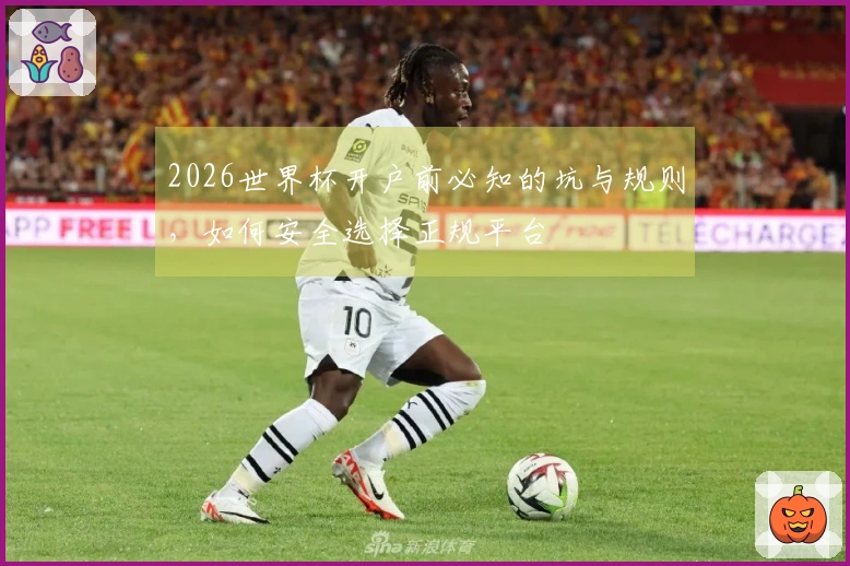 2026世界杯开户前必知的坑与规则，如何安全选择正规平台