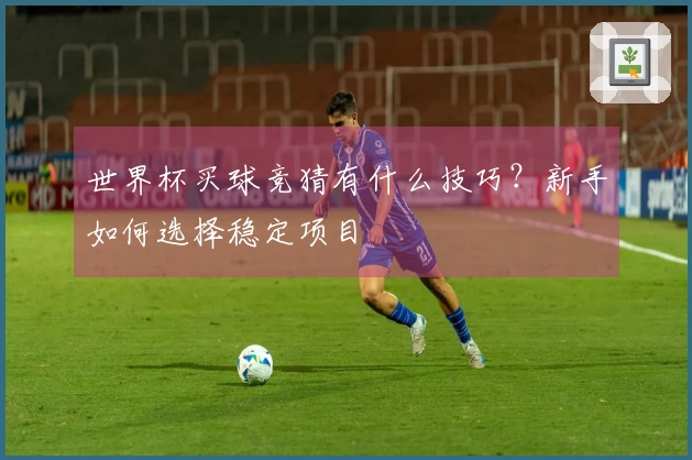 世界杯买球竞猜有什么技巧？新手如何选择稳定项目