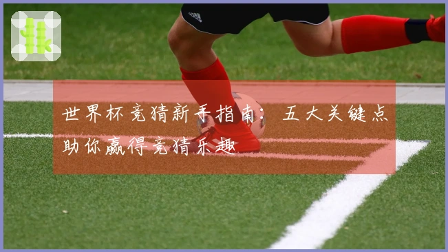 世界杯竞猜新手指南：五大关键点助你赢得竞猜乐趣