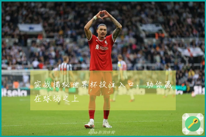 实战揭秘世界杯投注入口，助你赢在球场之上