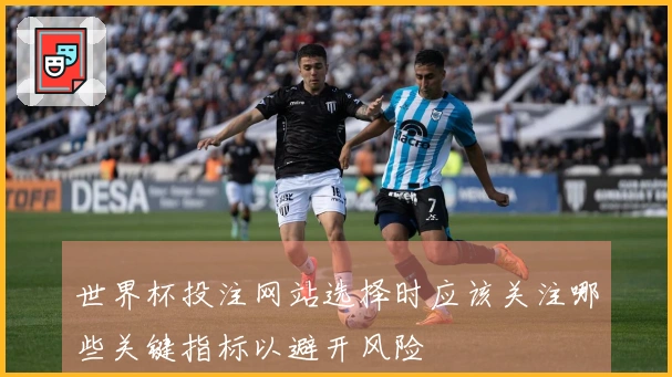 世界杯投注网站选择时应该关注哪些关键指标以避开风险