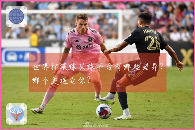 世界杯滚球买球平台有哪些差异？哪个更适合你？
