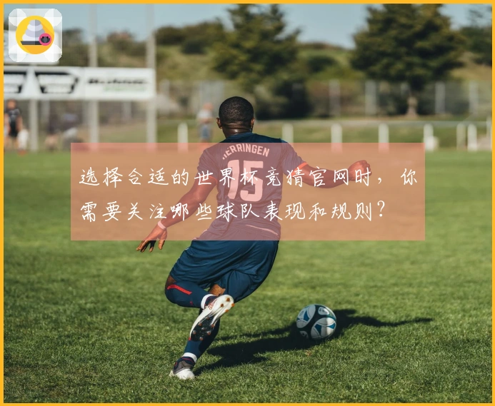 选择合适的世界杯竞猜官网时，你需要关注哪些球队表现和规则？