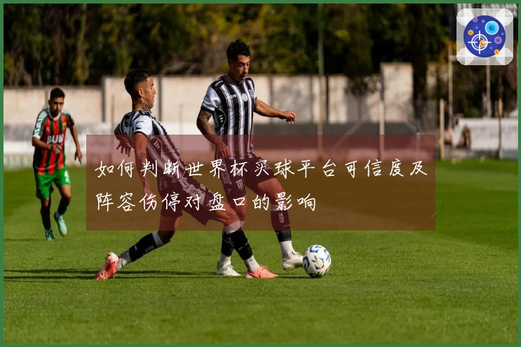 如何判断世界杯买球平台可信度及阵容伤停对盘口的影响