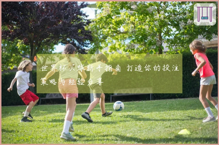 世界杯买球新手指南 打造你的投注策略与经验分享