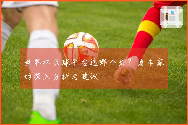 世界杯买球平台选哪个好？看专家的深入分析与建议