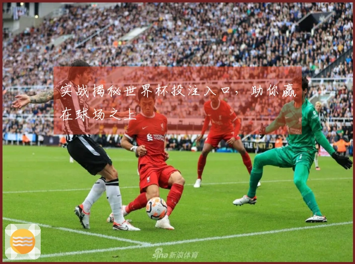 实战揭秘世界杯投注入口，助你赢在球场之上