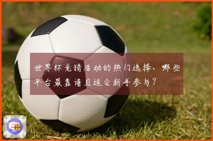 世界杯竞猜活动的热门选择，哪些平台最靠谱且适合新手参与？